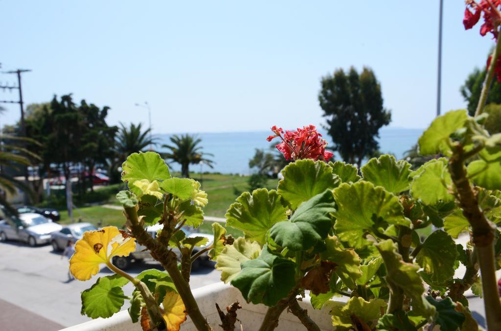 Cavo D' Oro Hotel Nea Moudania Ngoại thất bức ảnh